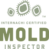 Mold Inspector